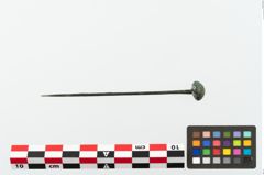 Foto von Bronzekugelkopfnadel (NHMW-PRAE-073852)